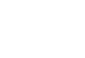 Flexfit Logo