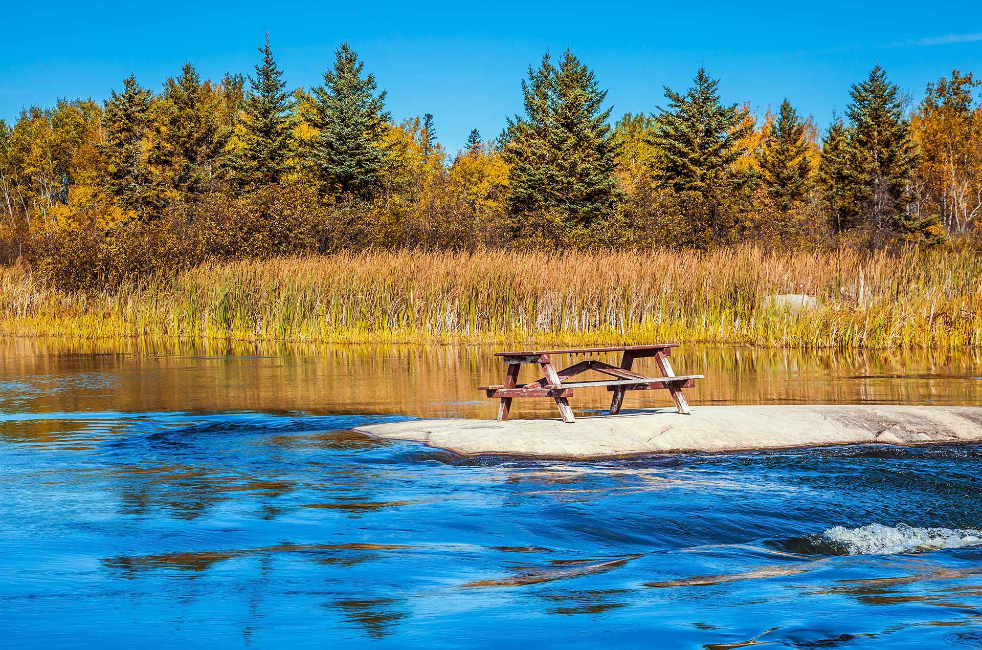 Manitoba Digital Marketing Agency | Creative Pixel Media | Dental Marketing & Website Design | Calgary & North America